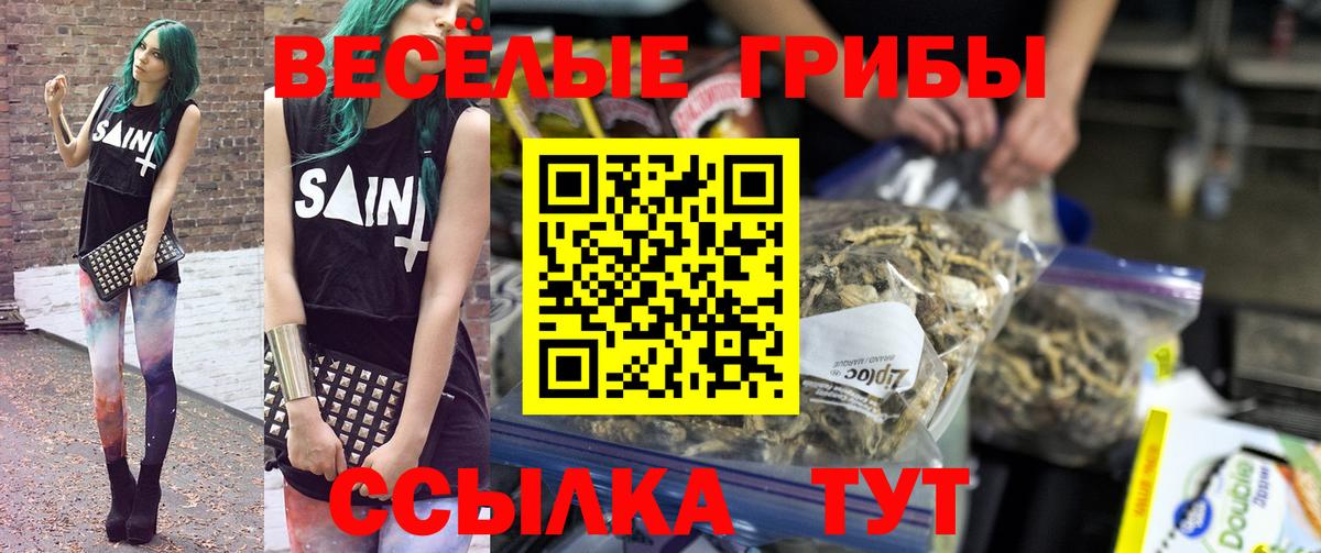 Галлюциногенные грибы прущие грибы Алатырь